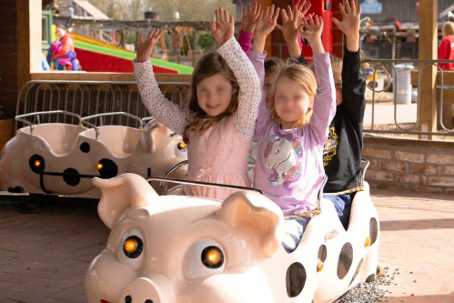 Schweini und seine Freunde